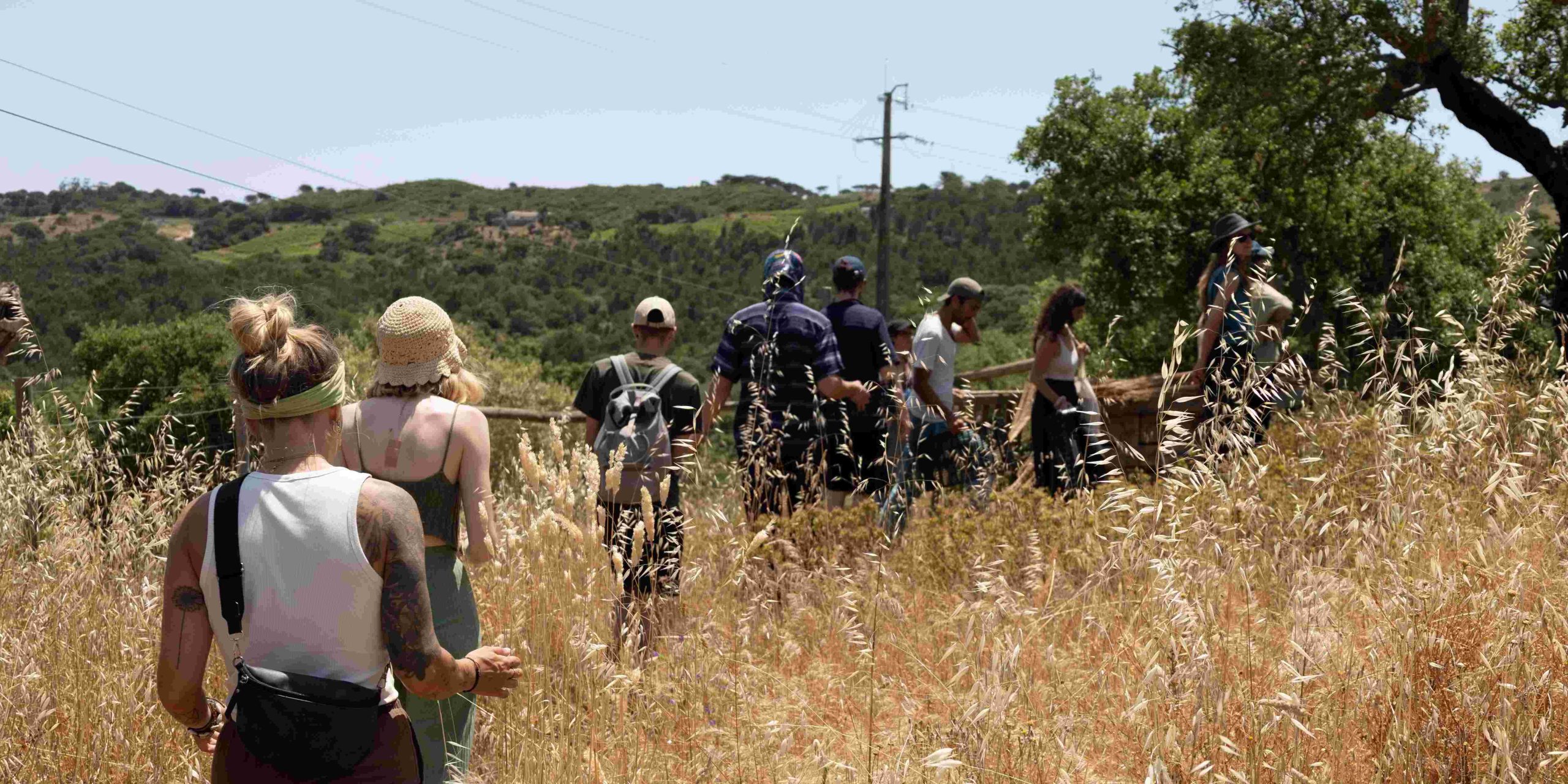 Seeds of Change: SerVivo Local Activity